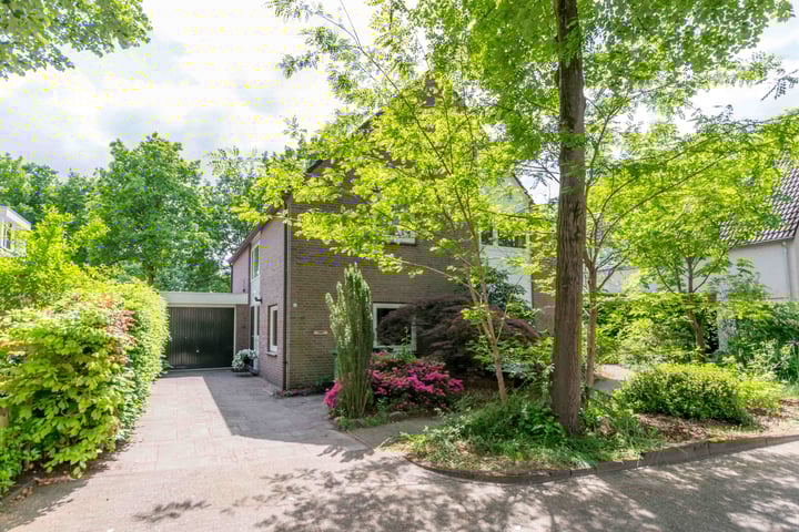 Photo of property Apollolaan 66, Son en Breugel