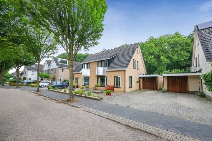 Apollovlinder 32 in Bilthoven