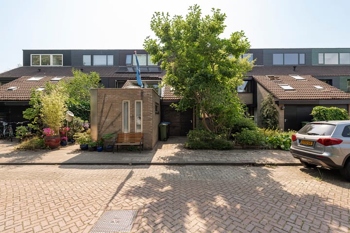 Appelboom 10 in Culemborg