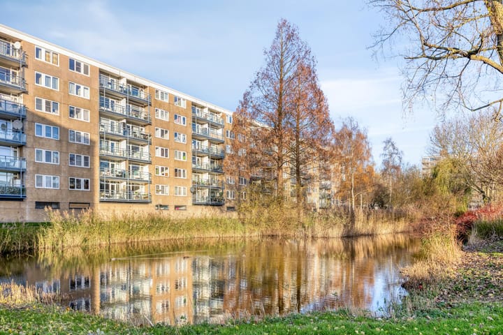 Argostraat 256 in Alphen aan den Rijn photo