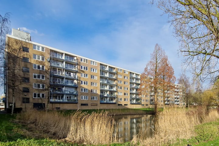 Argostraat 314 in Alphen aan den Rijn