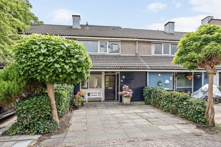 Argusvlinder 10 in Leiden