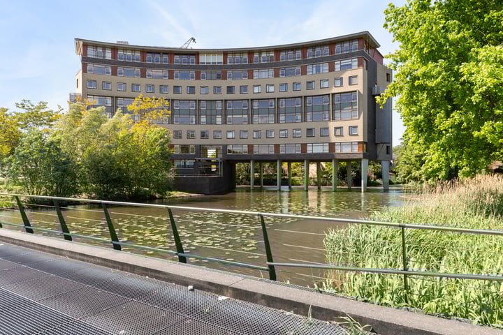 Argusvlinder 67 in Breda