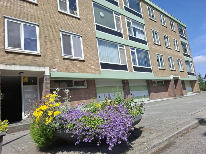 Arie Salystraat 25 in Rotterdam
