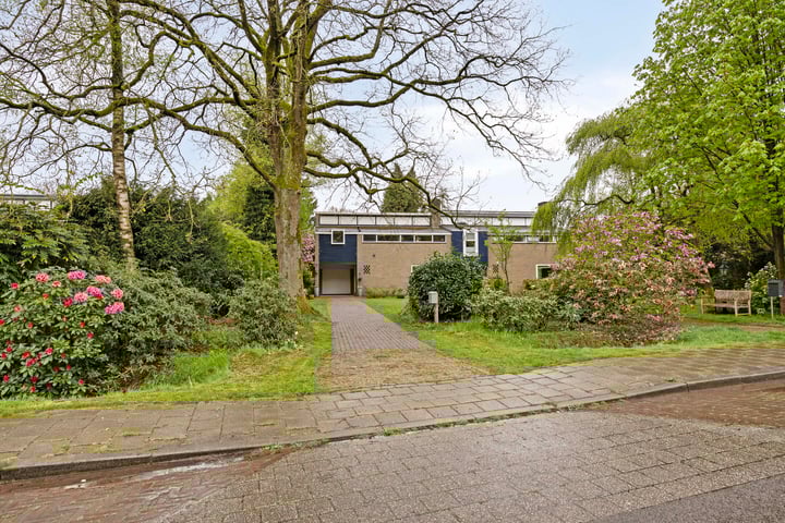 Arnhemsestraatweg 223 in Rheden