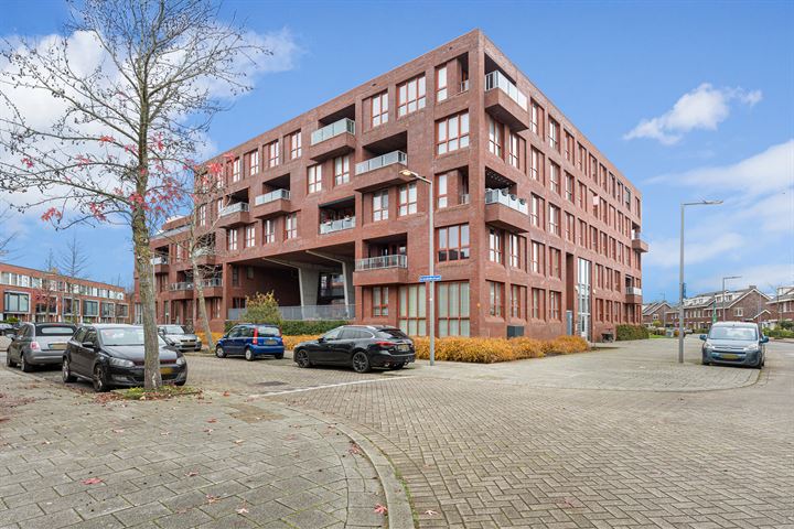 Aronskelkstraat 50 in Rotterdam