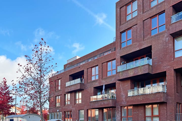 Aronskelkstraat 52 in Rotterdam