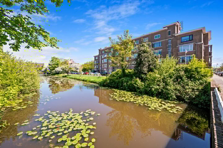 Aronskelkweg 60D in 's-Gravenhage