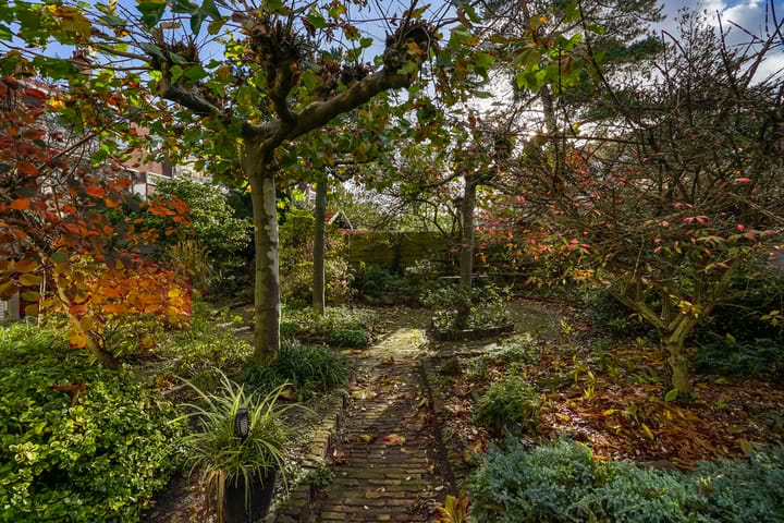 Aronskelkweg 84 in 's-Gravenhage