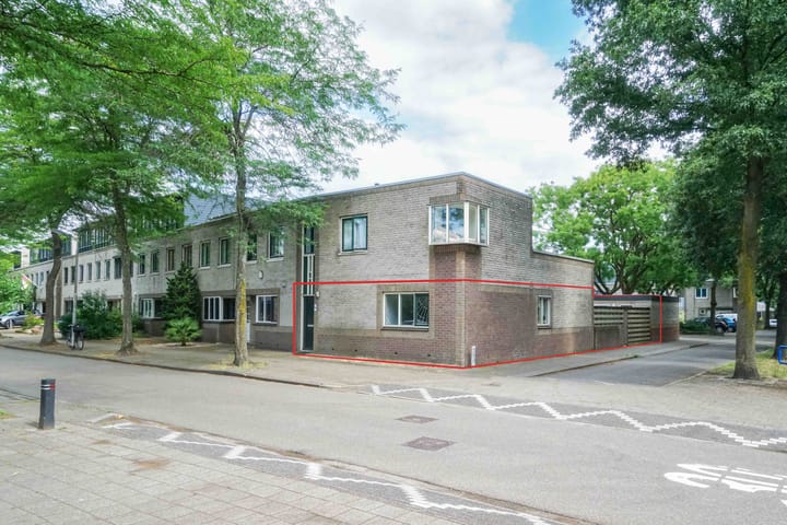 Atlasvlinder 2 in Amersfoort
