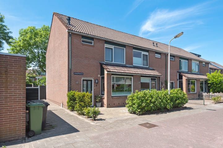Baardspringer 29 in Koog aan de Zaan