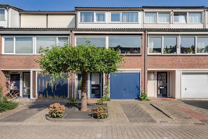 Baljuw 40 in Hoorn