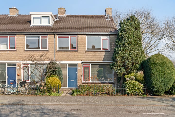 Balsemkruid 108 in Rotterdam