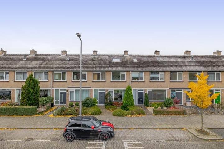 Balsemkruid 19 in Rotterdam Foto