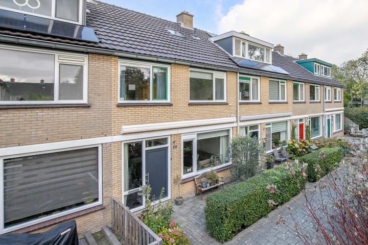 Balsemkruid 62 in Rotterdam