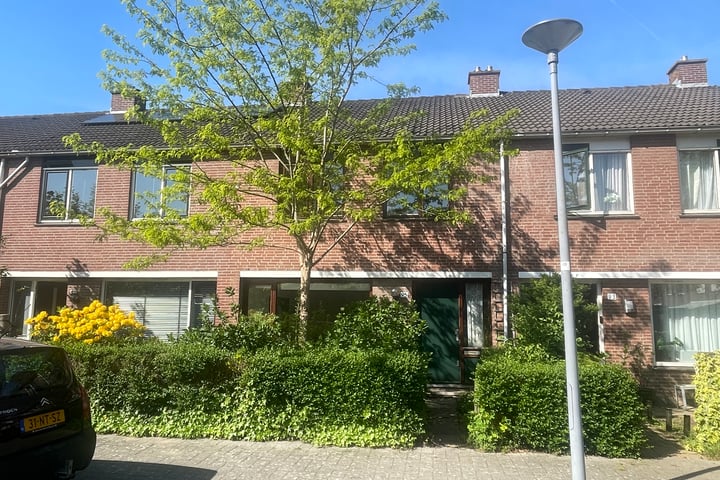 Balsemkruid 95 in Rotterdam