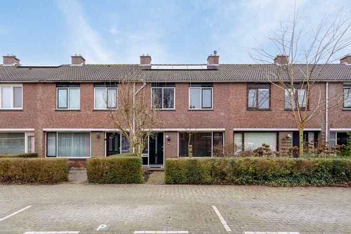 Balsemkruid 97 in Rotterdam