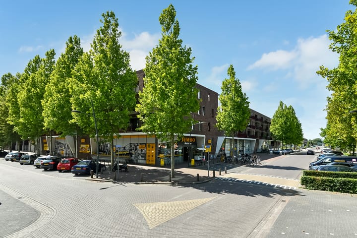 Basilica 43 in Elst