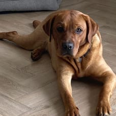 Photo of Benthe