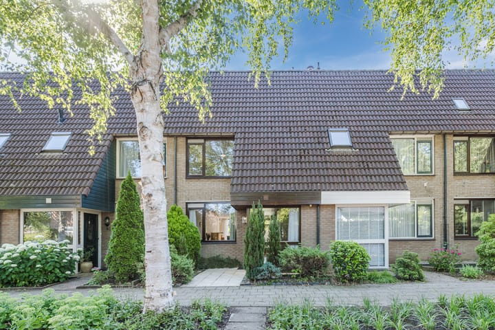 Berkeboom 61 in Culemborg