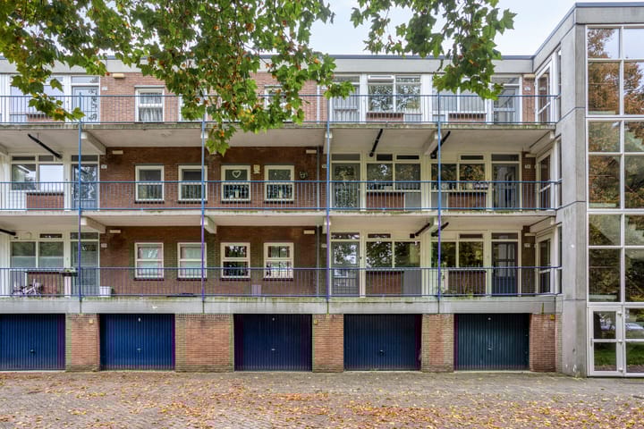 Berkenlaan 293 in Zutphen