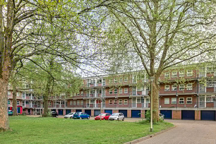 Berkenlaan 319 in Zutphen