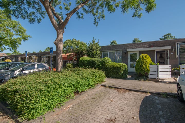 Bermudablauw 24 in Zoetermeer
