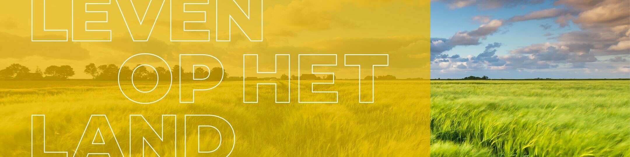 Bürofoto Bert Stadman Makelaardij | NVM