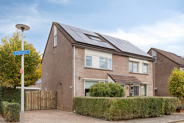 Photo de la maison Biesbongerd 24, Kesteren