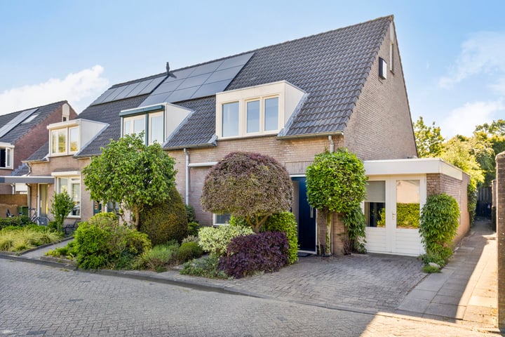 Biggekruid 2 in Asten