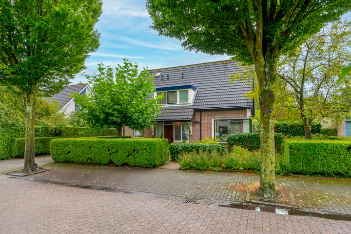 Bitterschoten 9 in Leusden Foto