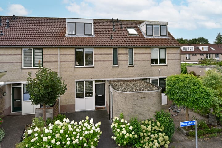 Blaasbalg 41 in Nieuwkoop