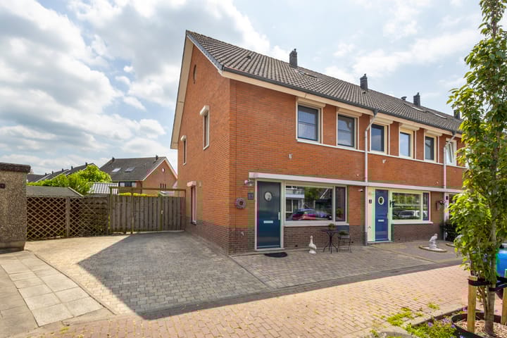 Bladriet 1 in Werkendam
