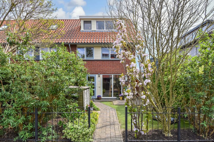 Blauw Glidkruid 54 in 's-Gravenhage