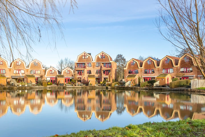 Blauwe Reiger 12 in Hardinxveld-Giessendam