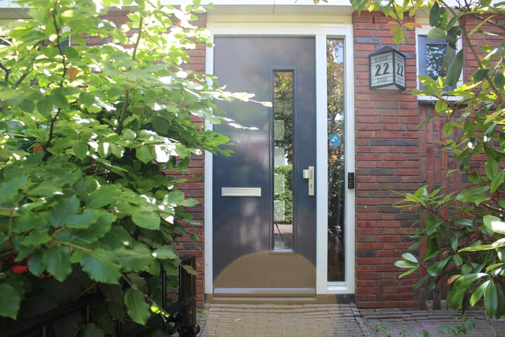 Blauwe Zegge 22 in 's-Gravenhage