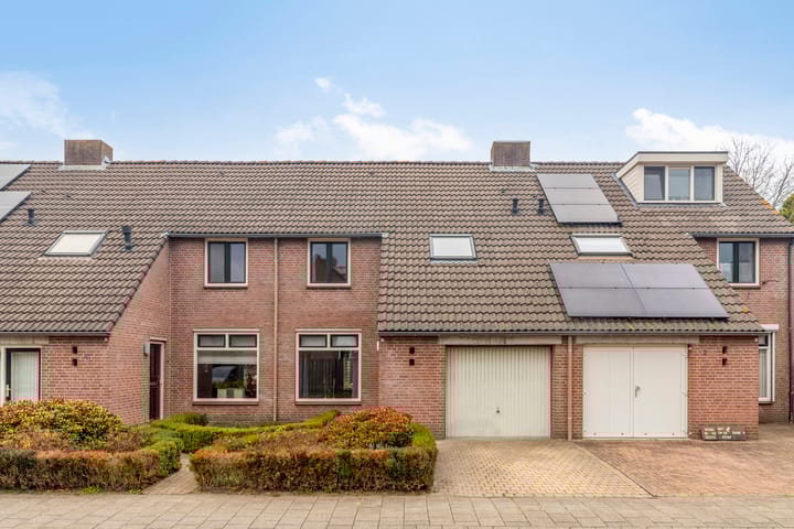 Blokakkers 4 in Riel