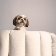 Foto von Bobbie Trossèl