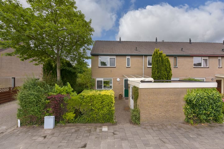 Boeier 29 in Hoorn