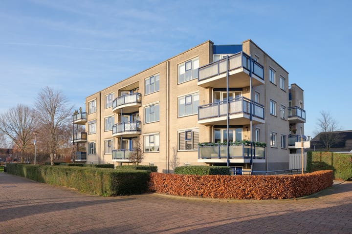 Boekweitakker 24 in Barneveld