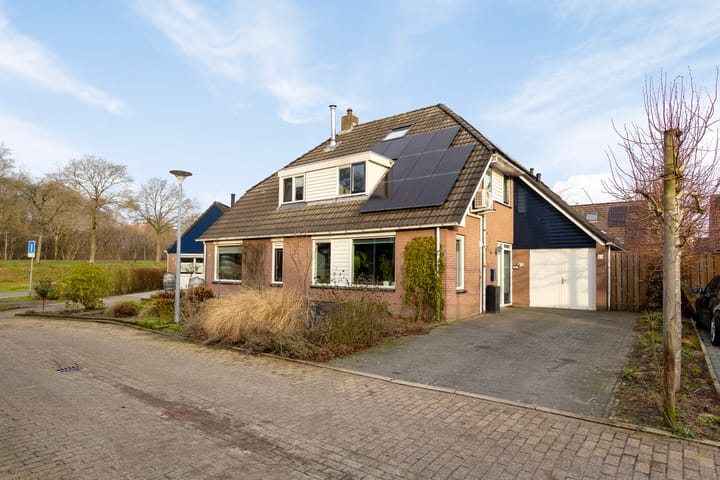 Boekweitveld 42 en Assen foto