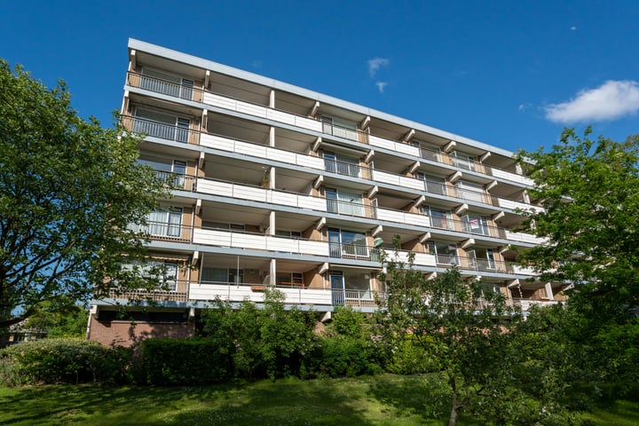 Photo of property Boerhaavelaan 171, Leiden