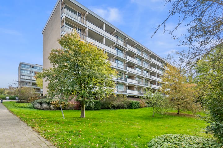 Boerhaavelaan 211 in Leiden