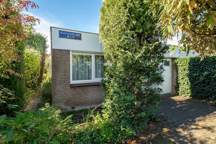 Boerhaavelaan 38 in Tiel