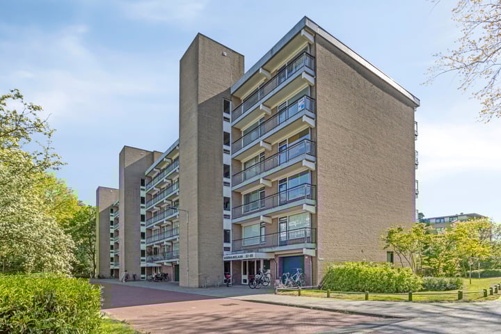 Photo of property Boerhaavelaan 73, Leiden