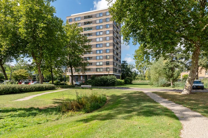 Boerhaavestraat 435 in Vlaardingen