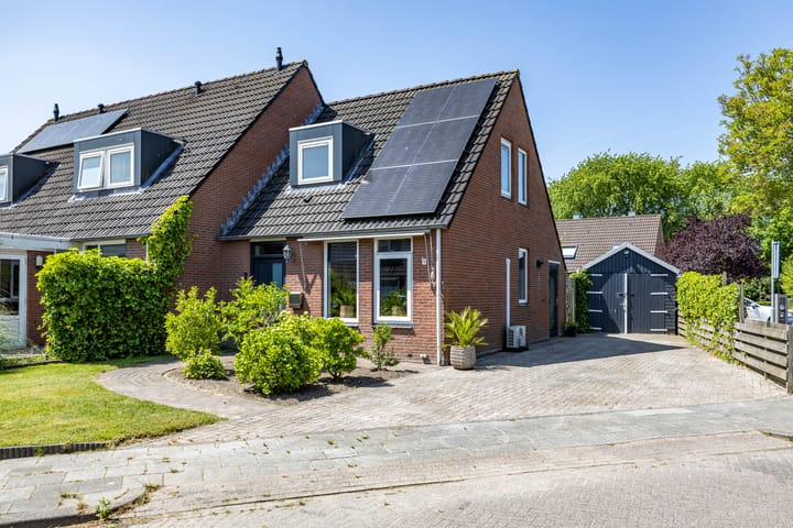 Boerhoorn 2 in Vries