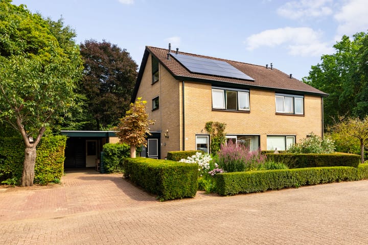 Boesmate 41 in Doetinchem