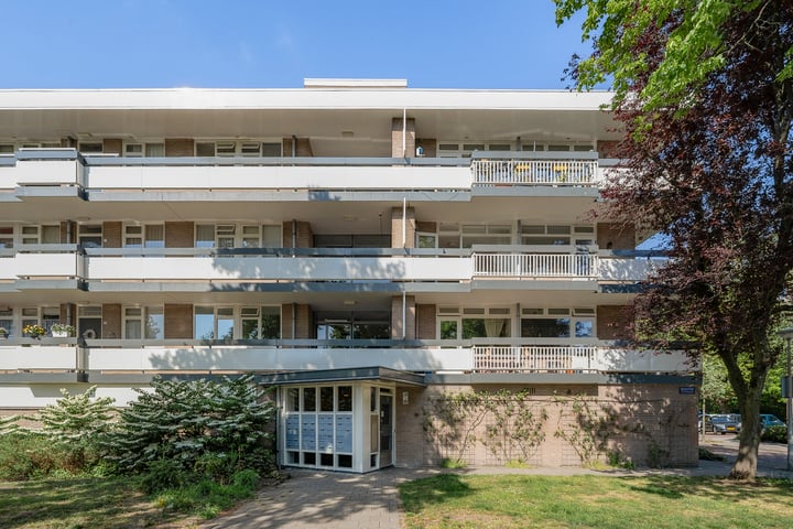 Bolestein 526 in Amsterdam foto