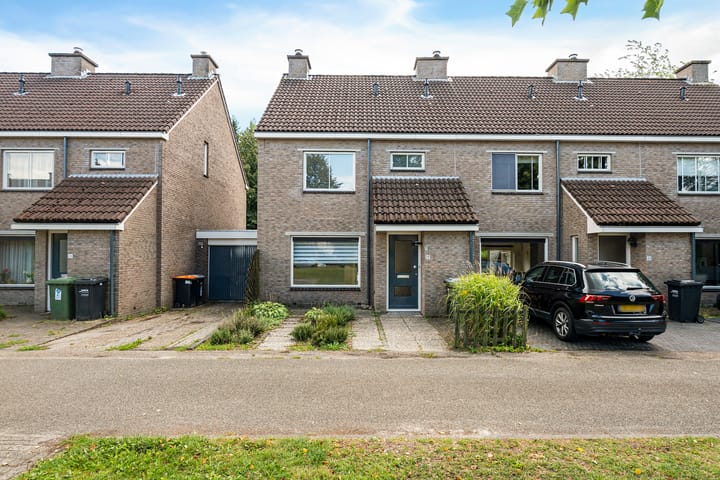 Bonte Kraai 25 in Emmen